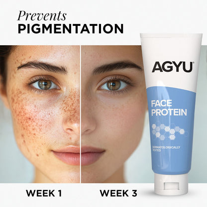 AGYU Face Protein Night Cream for Normal to Oily Skin | Repairs Pigmentation, Uneven Skin Tone & Dark Spots | Improves Skin Firmness | Beginner Friendly | 100Gm (Pack of 3)